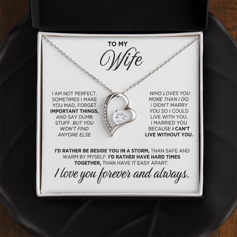 TO MY WIFE 