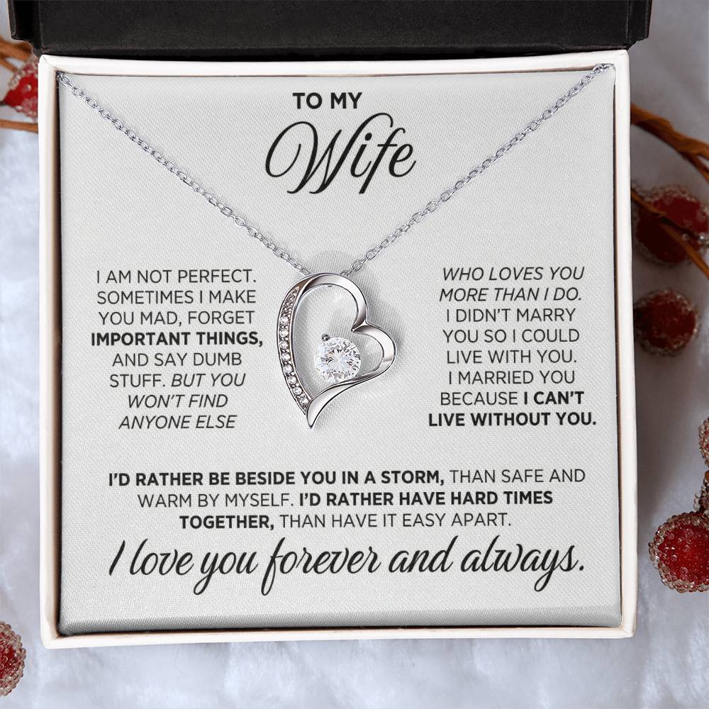 TO MY WIFE 