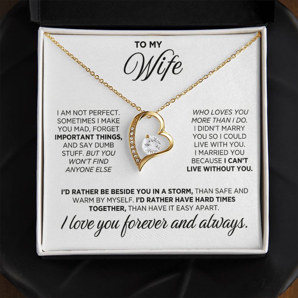 TO MY WIFE 